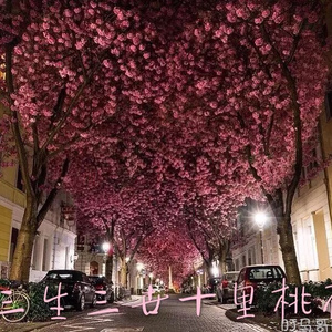 女性俱乐部虐调集中营
