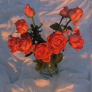 女性俱乐部虐调集中营
